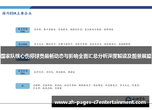 国家队核心伤停球员最新动态与影响全面汇总分析深度解读及前景展望