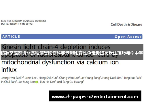 精准掌握欧协联赛程信息助你科学预测比赛胜负走势提高投注技巧与命中率